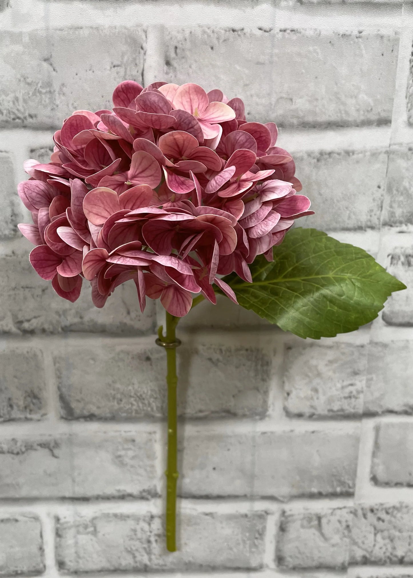 FRESH TOUCH HYDRANGEA