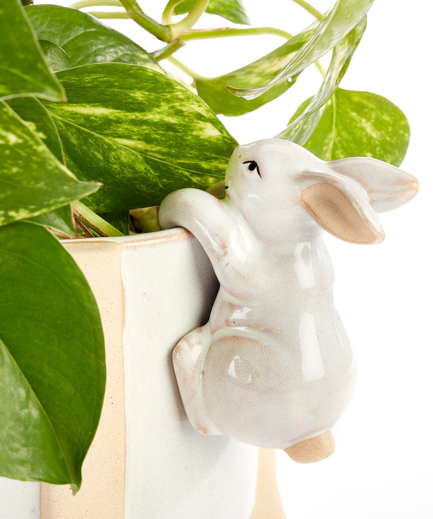 BUNNY POT HANGER