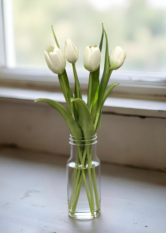 16" FRESH TOUCH WHITE TULIPS
