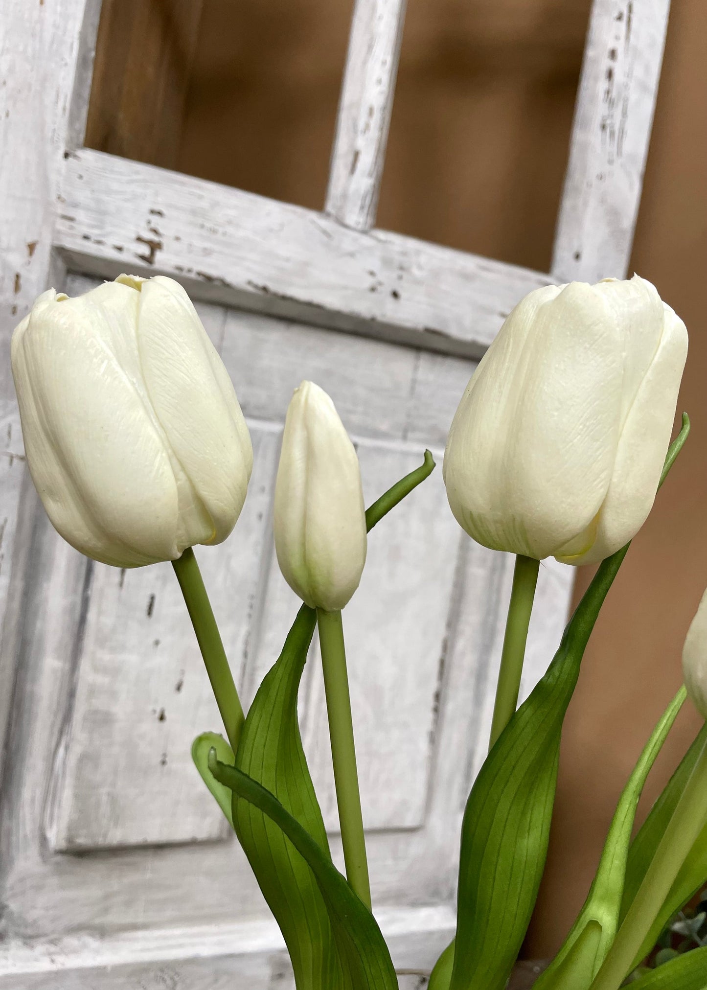WHITE FRESH TOUCH TULIP BUNDLE 18"