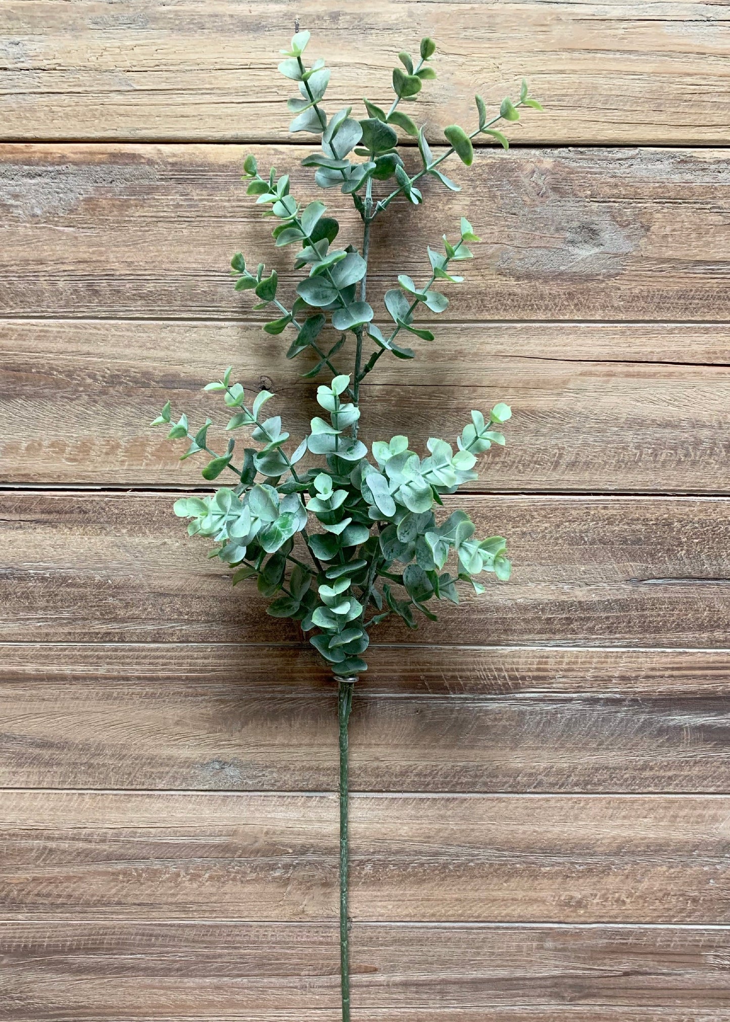 25" EUCALYPTUS SPRAY