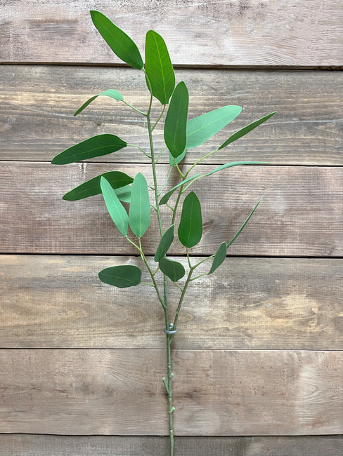 30" FRESH TOUCH EUCALYPTUS SPRAY