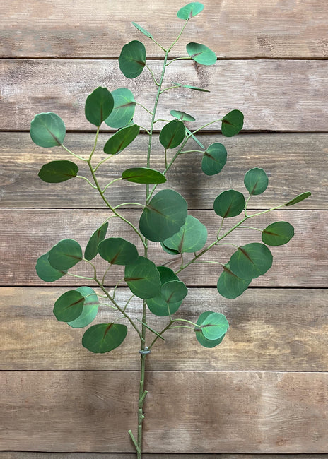 REAL TOUCH SILVER DOLLAR EUCALYPTUS SPRAY