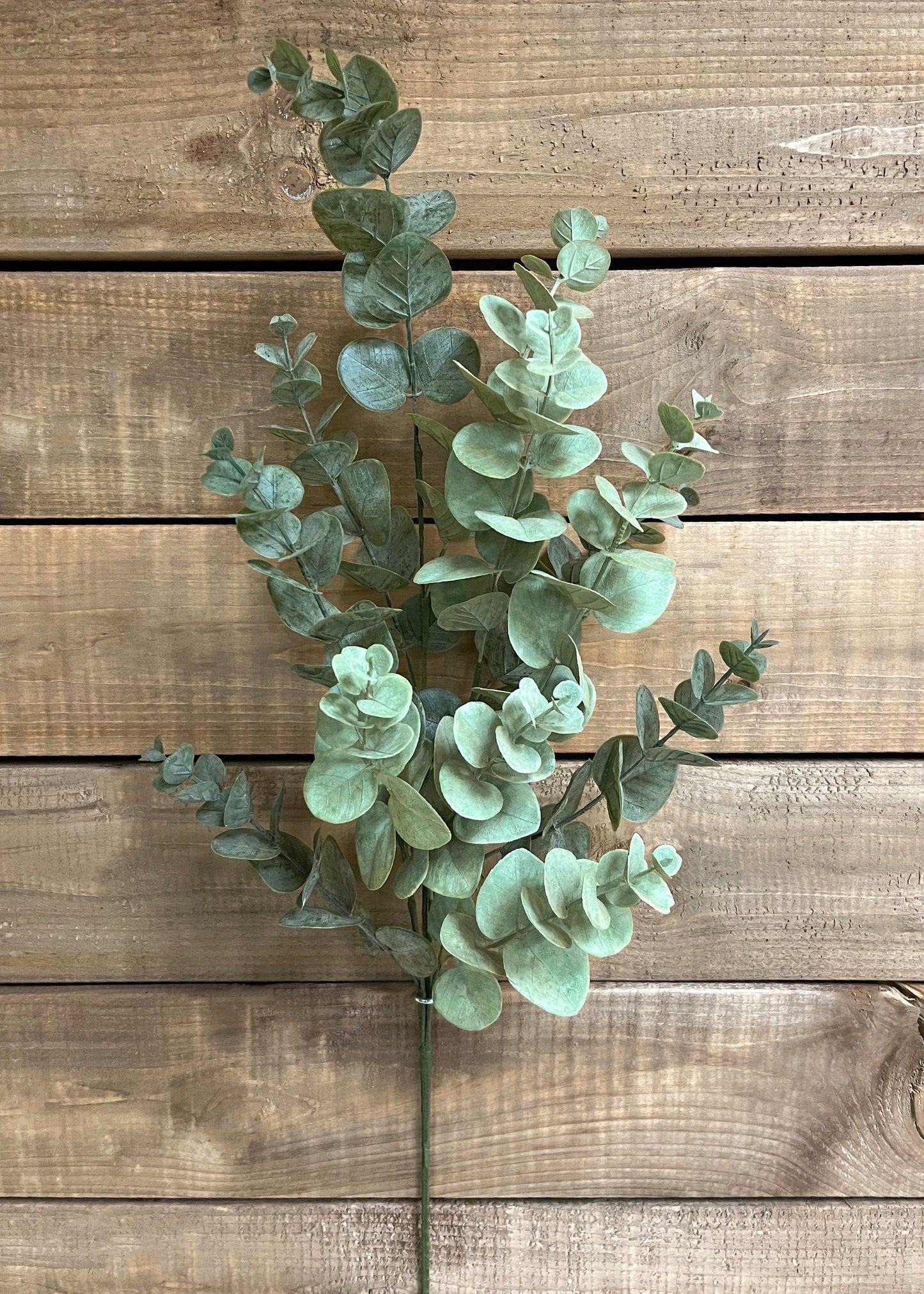 SAGE GREEN EUCALYPTUS SPRAY