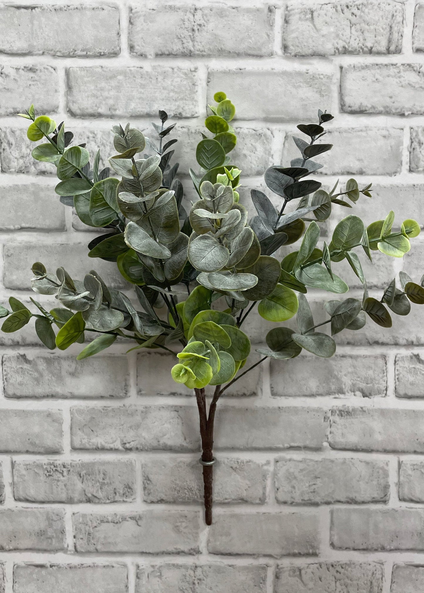 19" BLUE GREEN EUCALYPTUS BUSH