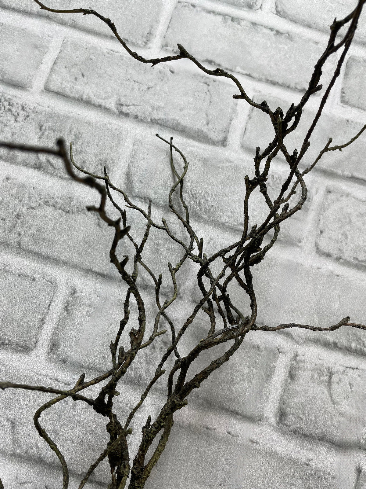 TWIG BRANCH 49"