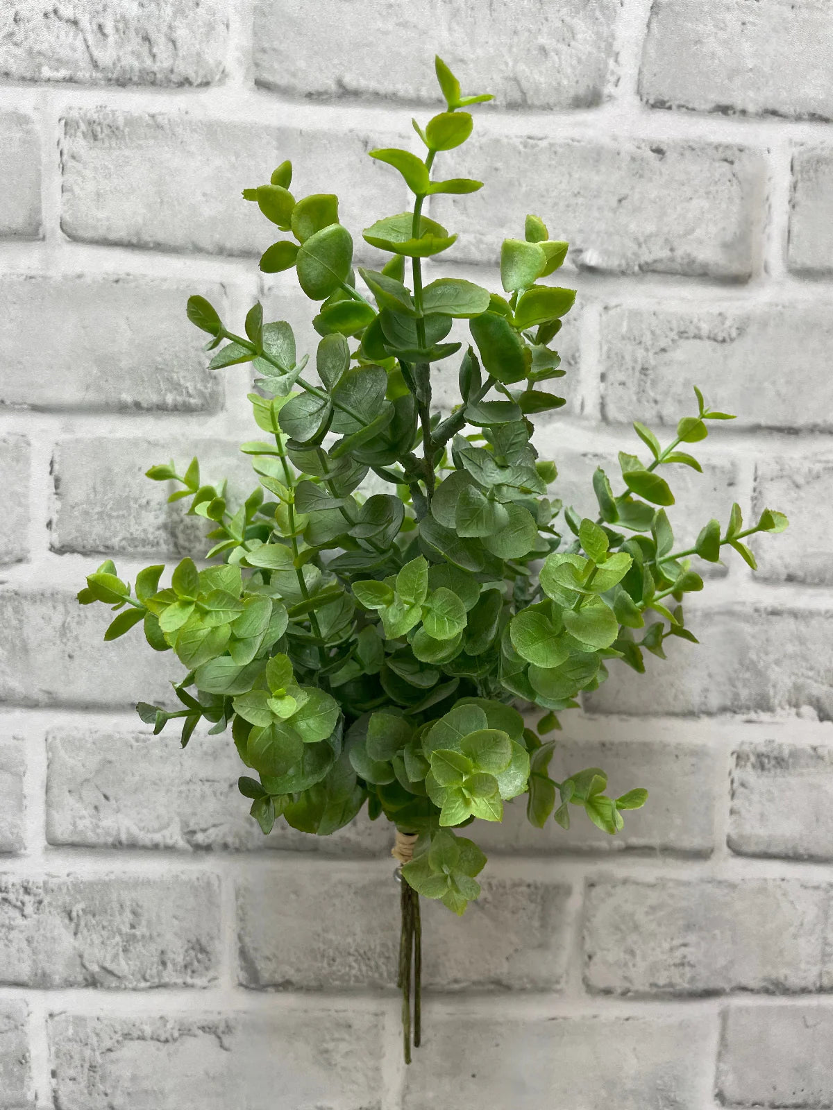 GREEN EUCALYPTUS BUNDLE WITH 3 STEMS