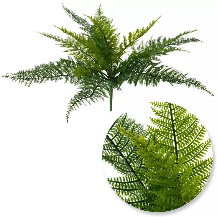 LEATHER LEAF FERN BUSH