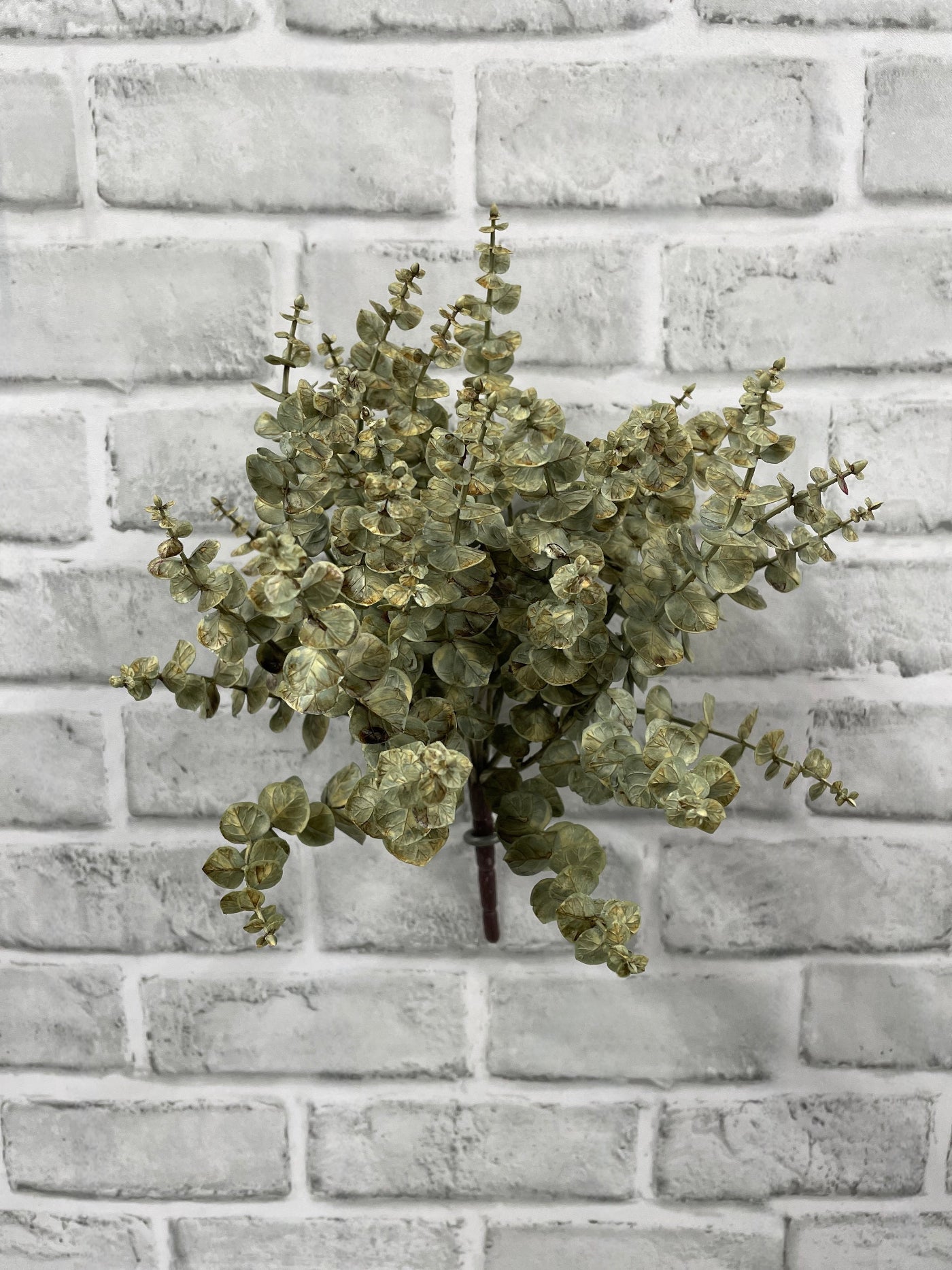CREAM GREEN EUCALYPTUS BUNDLE