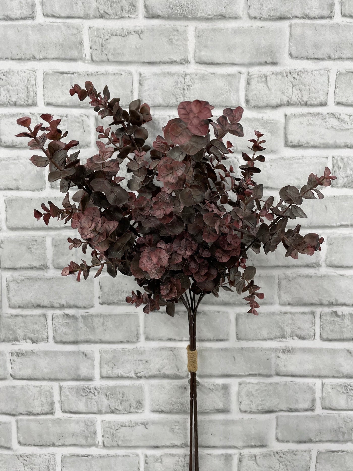 BURGENDY EUCALYPTUS BUNDLE