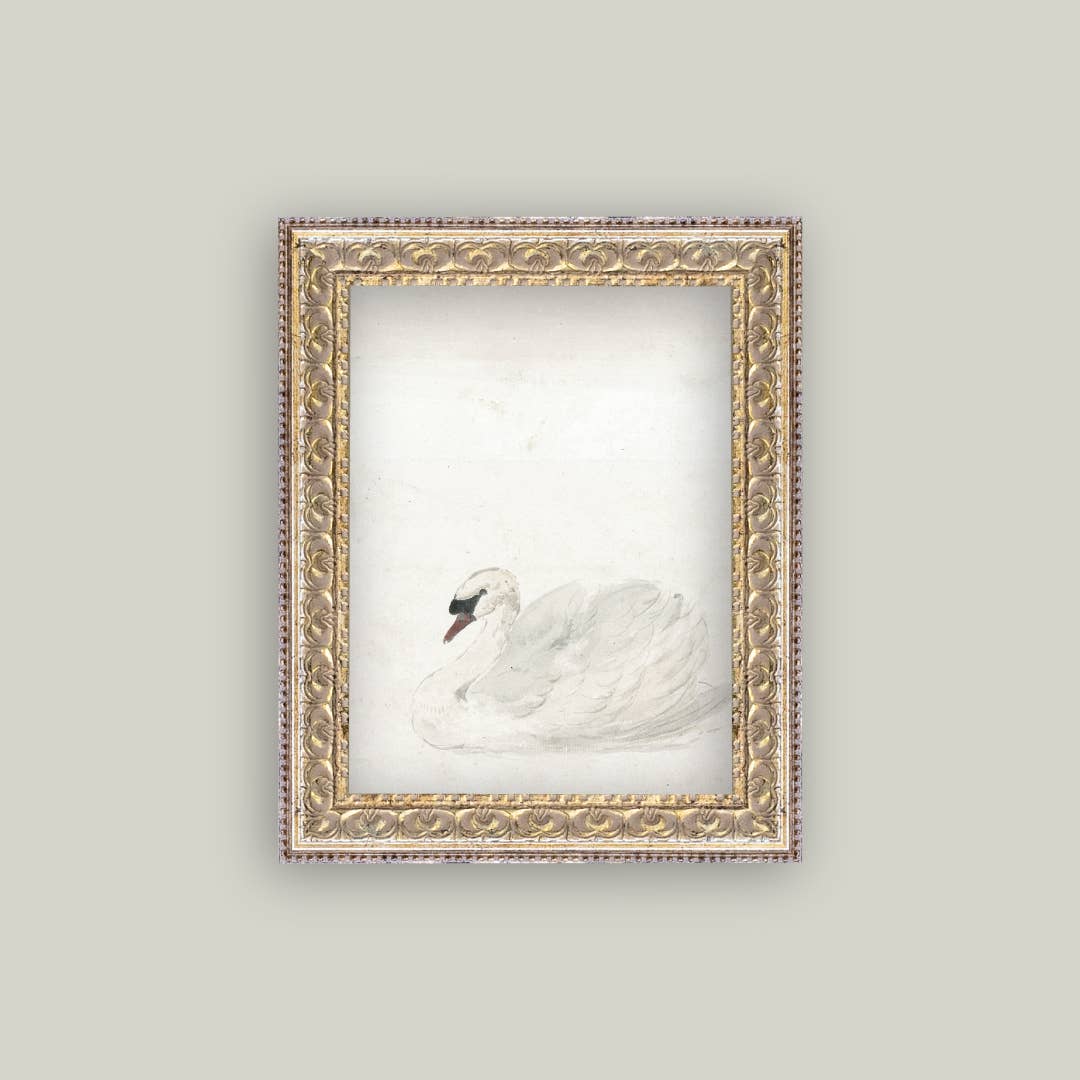 SWAN FRAMED ANTIQUE ART