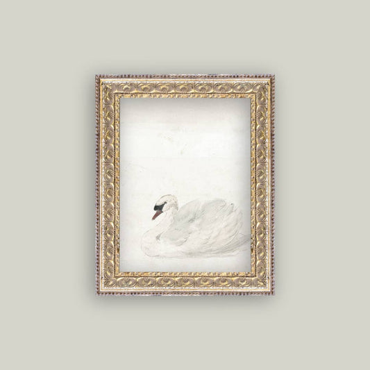 SWAN FRAMED ANTIQUE ART