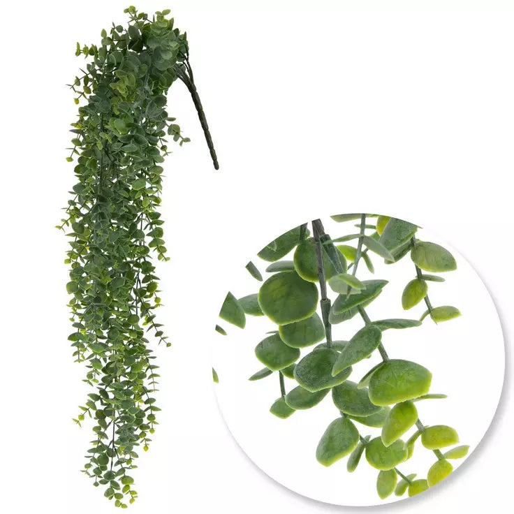 31" EUCALYPTUS VINE