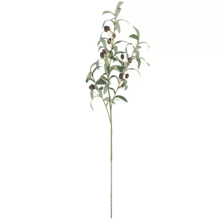 OLIVE STEM