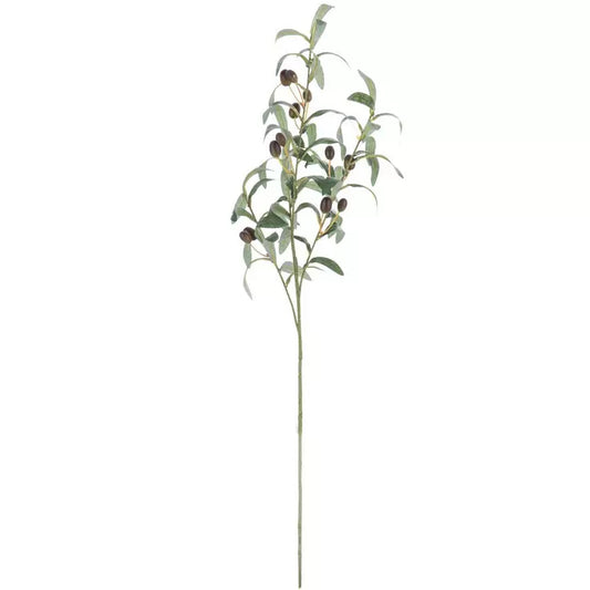 OLIVE STEM