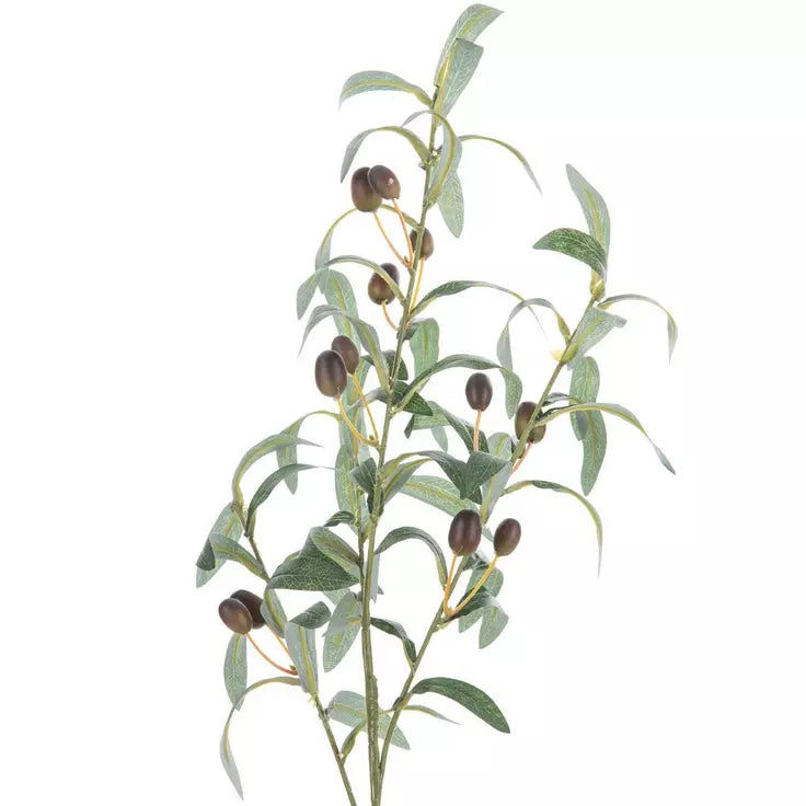 OLIVE STEM