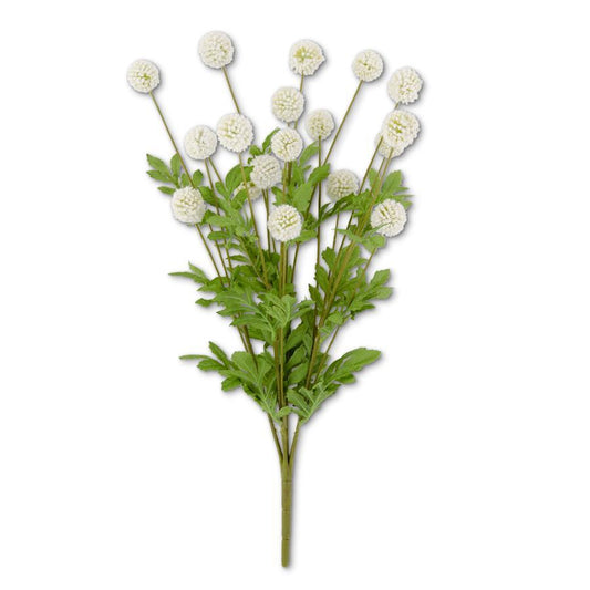 WHITE ALLIUM BUSH