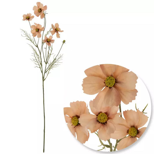 CREAM COSMO SPRAY