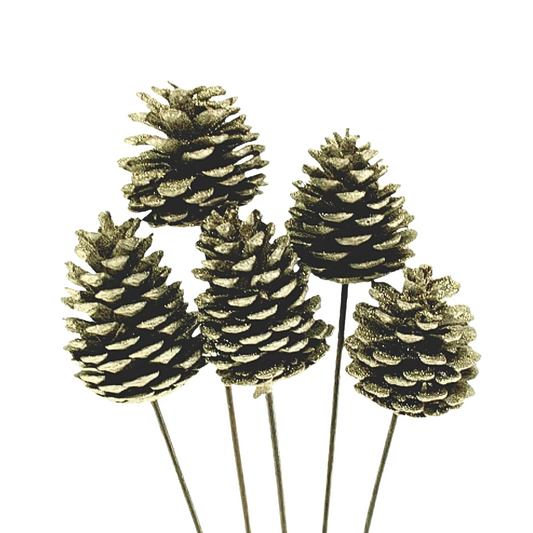 PINECONES ON STEM