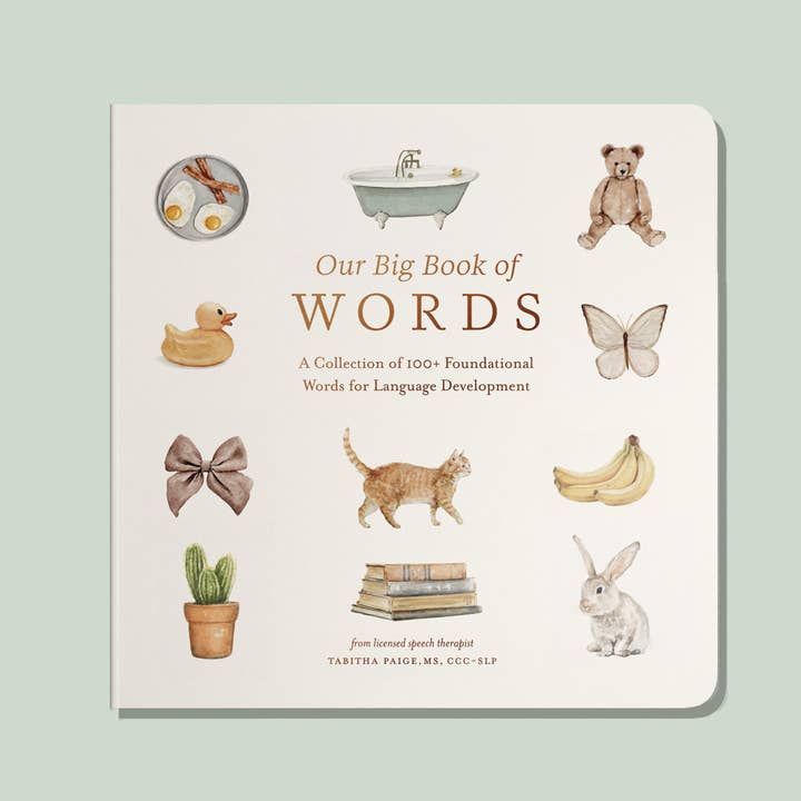 OUR BIG BOOK OF WORDS