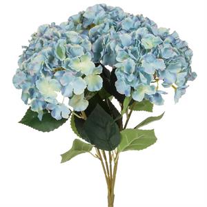 LARGE STEM HYDRANGEA