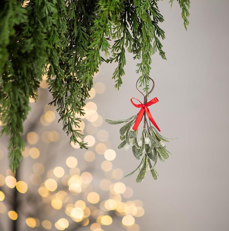 SMALL MISTLETOE CLUSTER