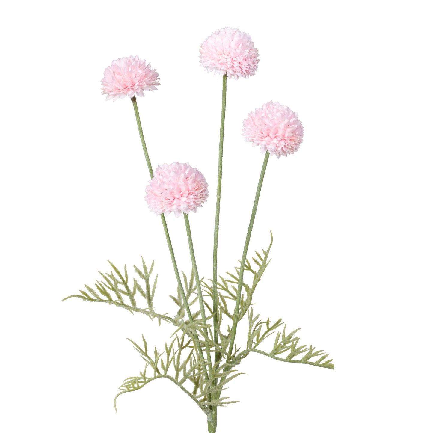 PINK POM POM FLOWER