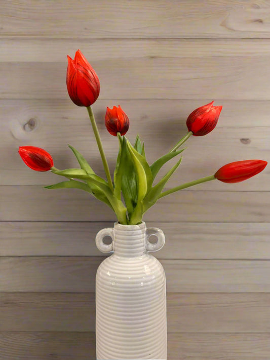 MINI WILD TULIP BUNDLE