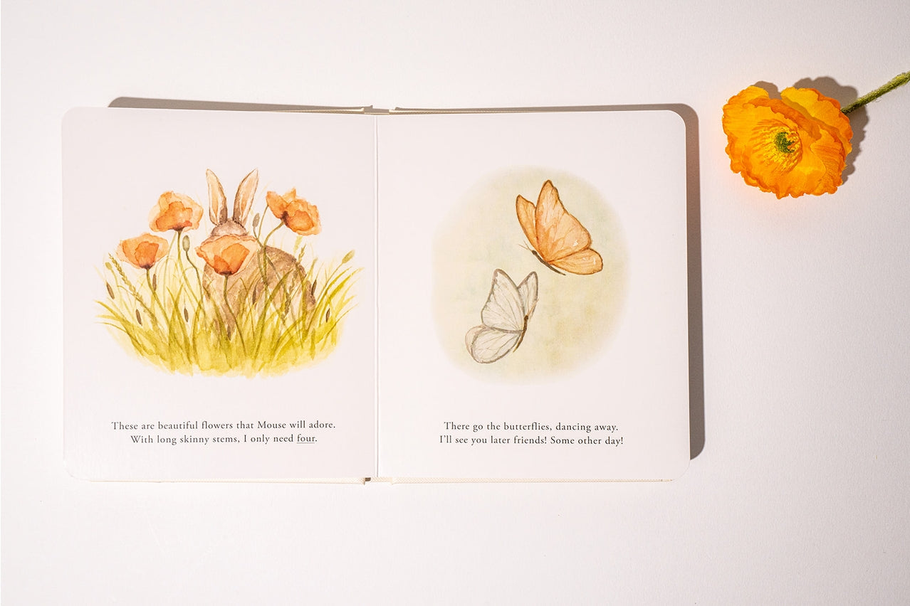 OUR LITTLE ADVENTURES BOX SET