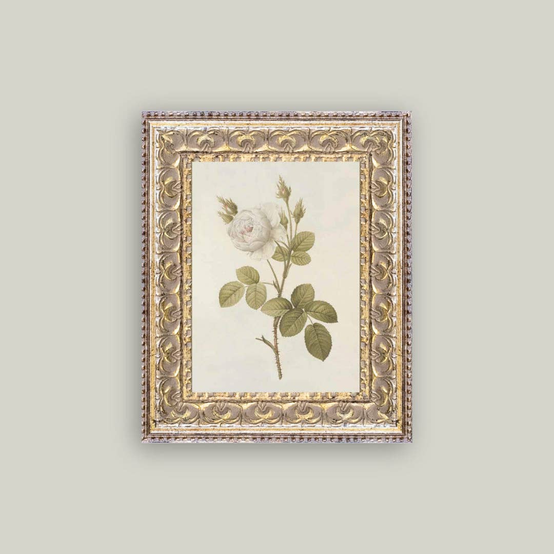 MISTY ROSE FRAMED ANTIQUE ART