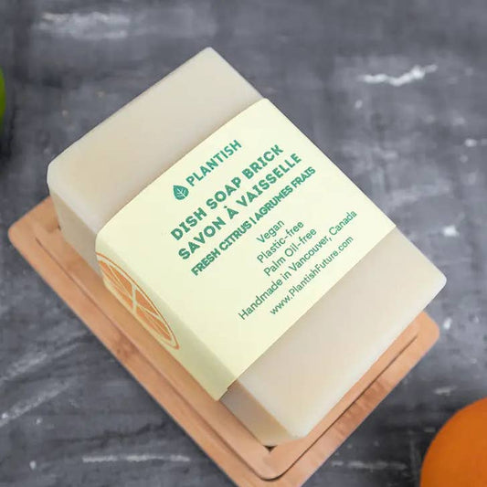 SOLID DISH SOAP BRICK