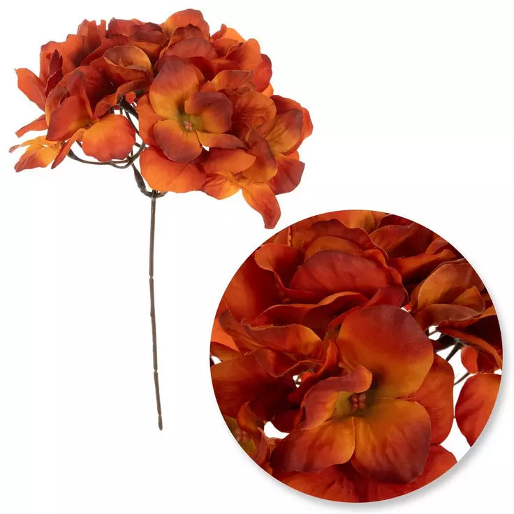 DRIED HYDRANGEA STEM - RUST