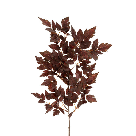 PLUM TREE BRANCH