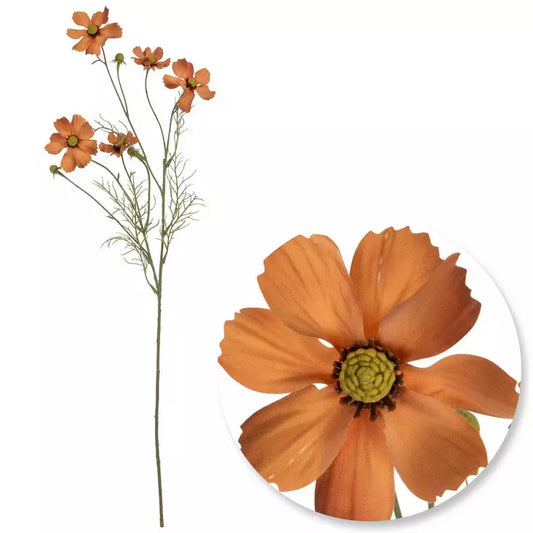 ORANGE COSMO SPRAY