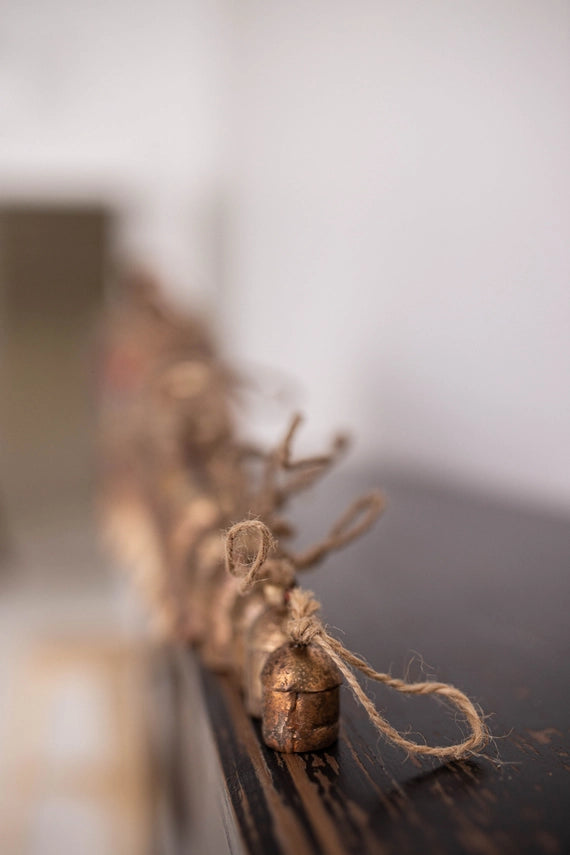 COPPER DESERT BELLS