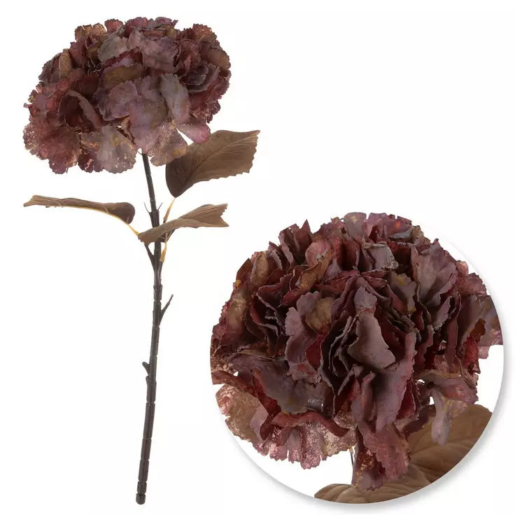 DRIED HYDRANGEA STEM - PLUM