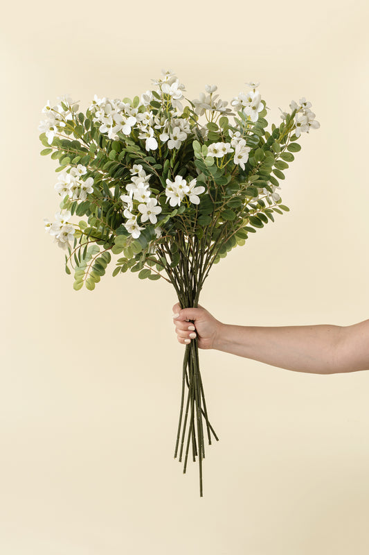 LOCUST FLOWER BRANCH