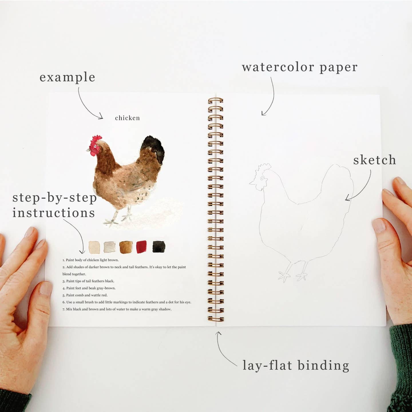 ANIMALS WATERCOLOUR WORKBOOK