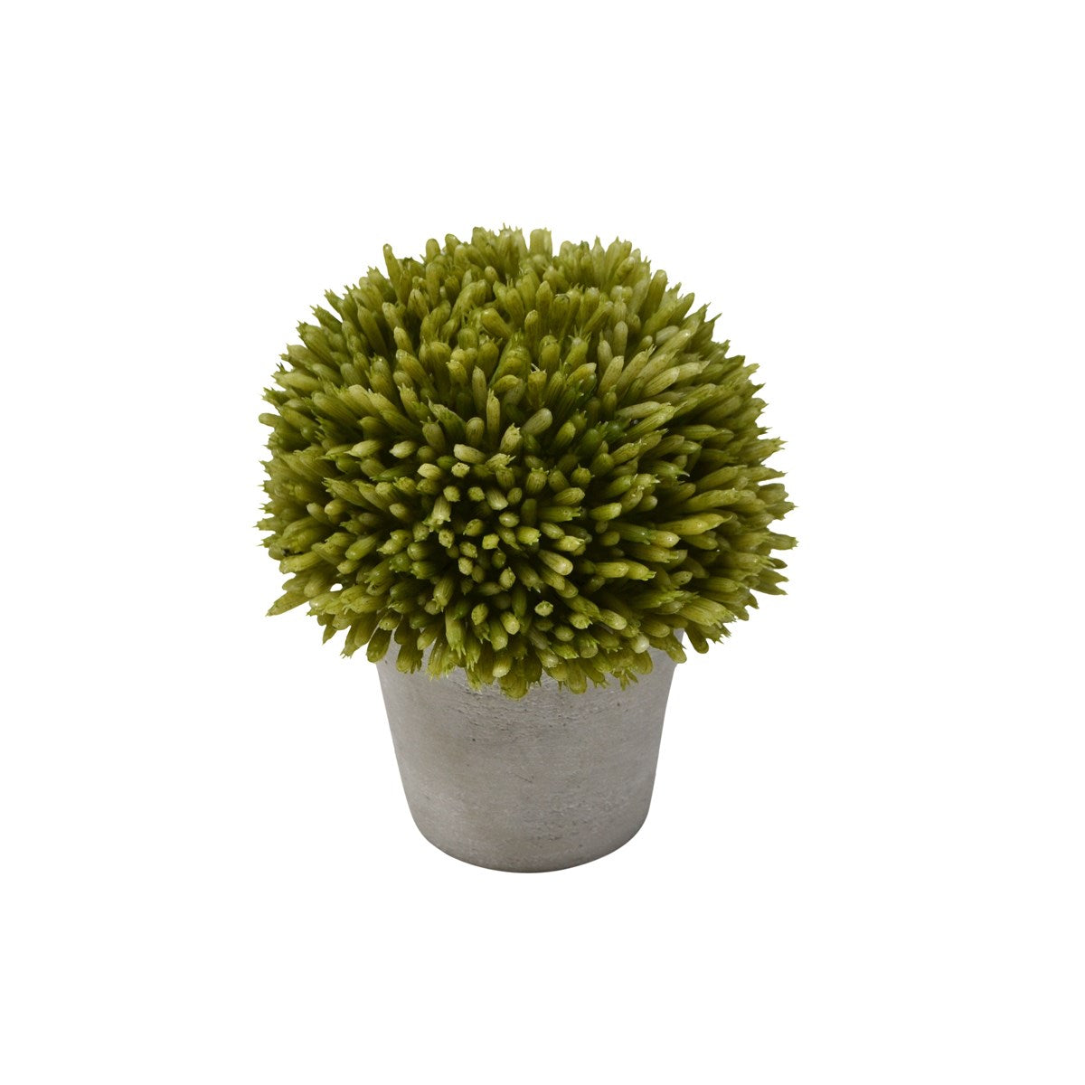 ONION FLOWER W/ POT