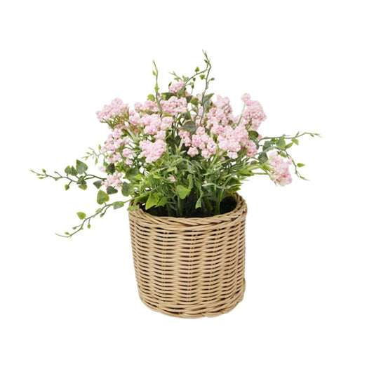 CLEMATIS IN RATTAN POT