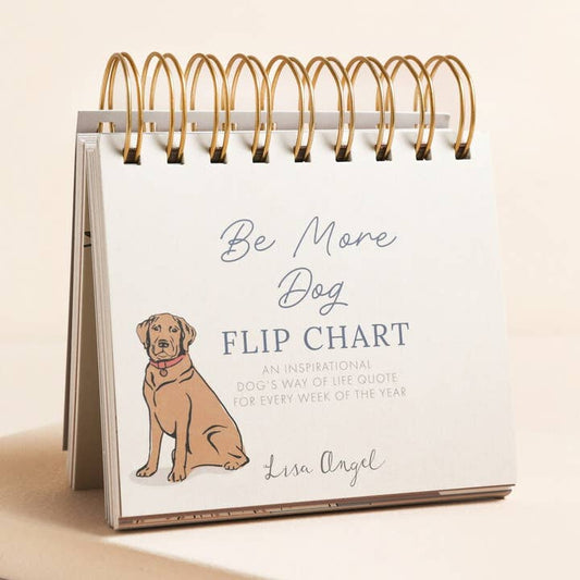 BE MORE DOG FLIP CHART