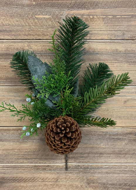 AUSTRALIAN PINE SPRAY WITH CONES