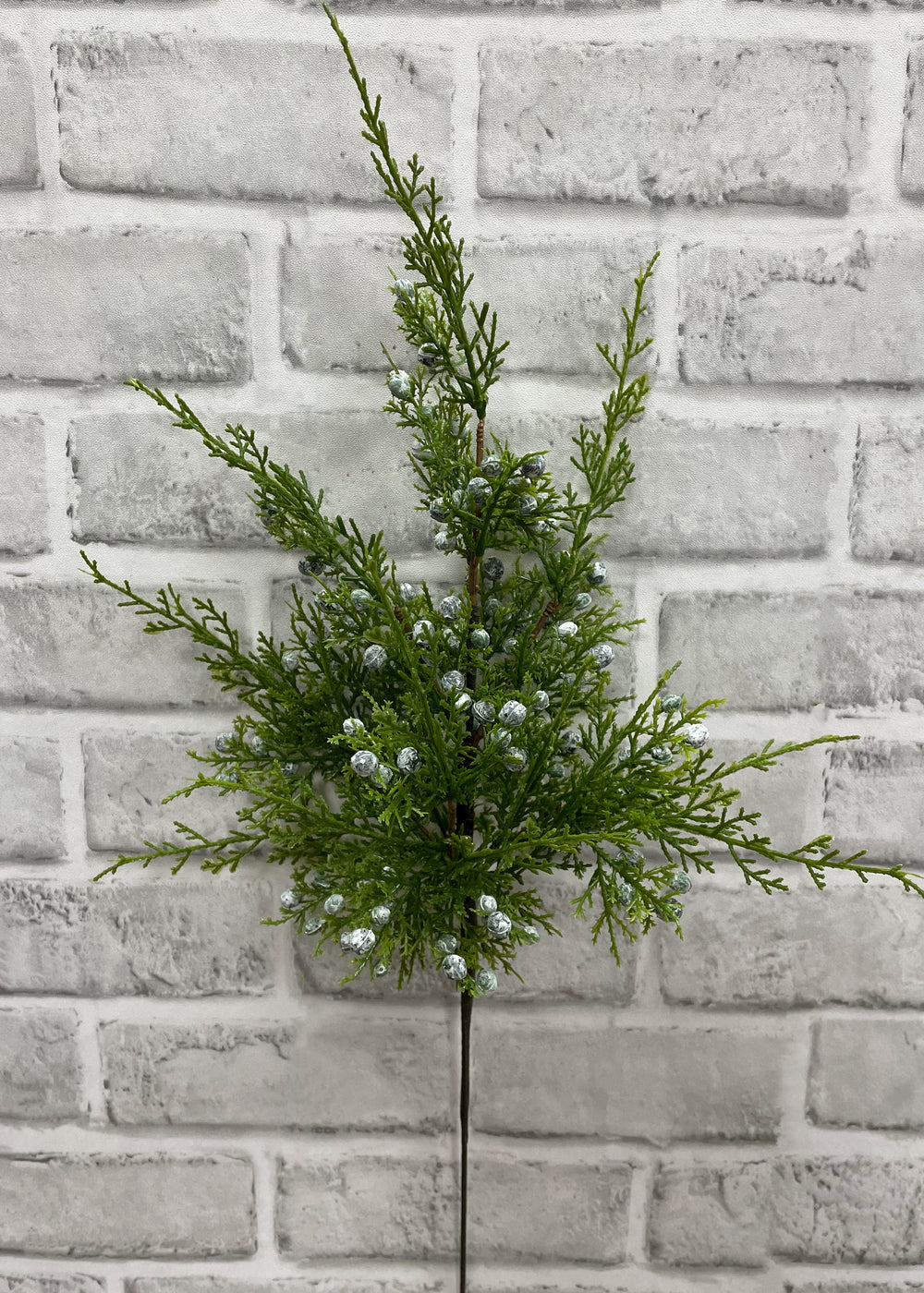 JUNIPER BERRY SPRAY 18"
