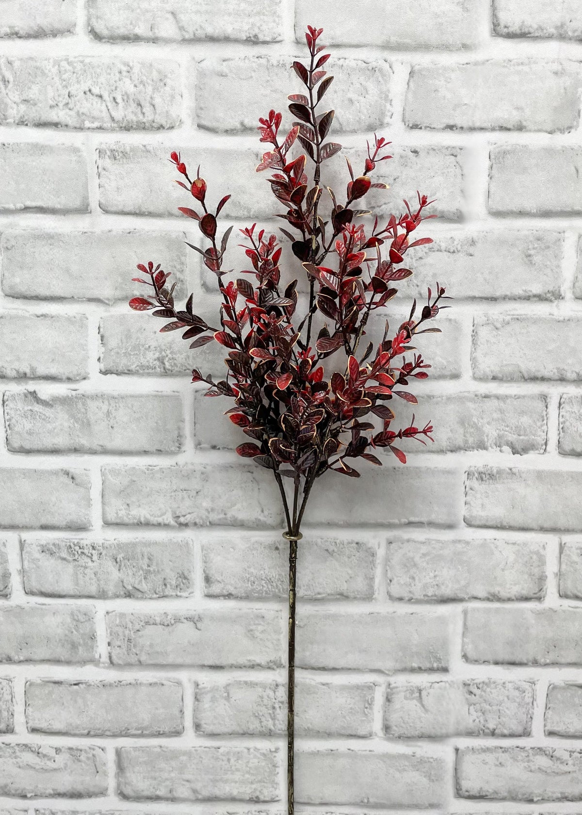 BURGUNDY EUONYMUS SPRAY