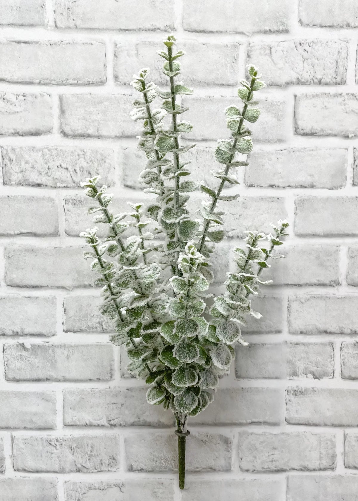 SNOWY EUCALYPTUS BUSH WITH 7 STEMS