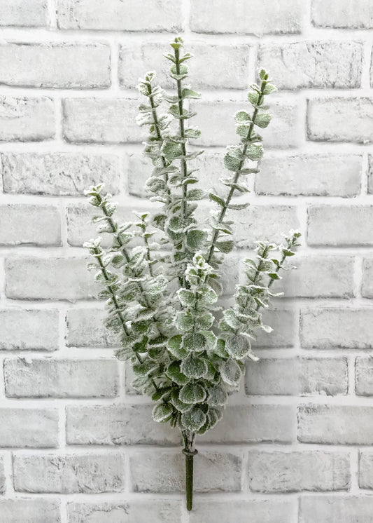 SNOWY EUCALYPTUS BUSH WITH 7 STEMS