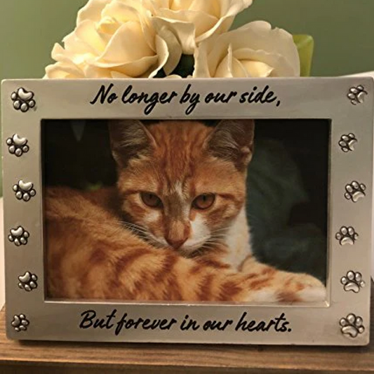 MEMORIAL PET FRAME