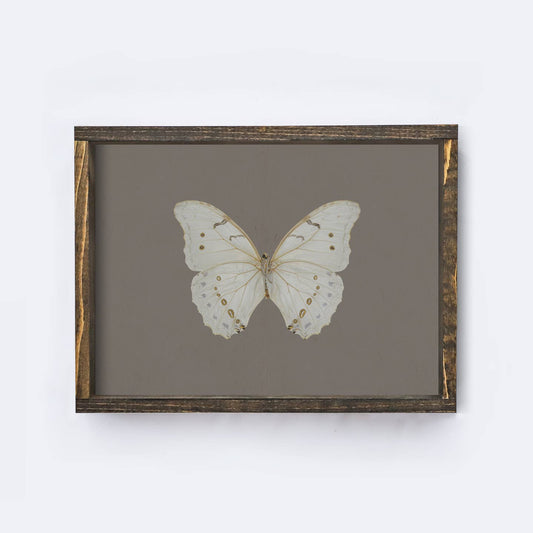BUTTERFLY WOOD FRAMED ART