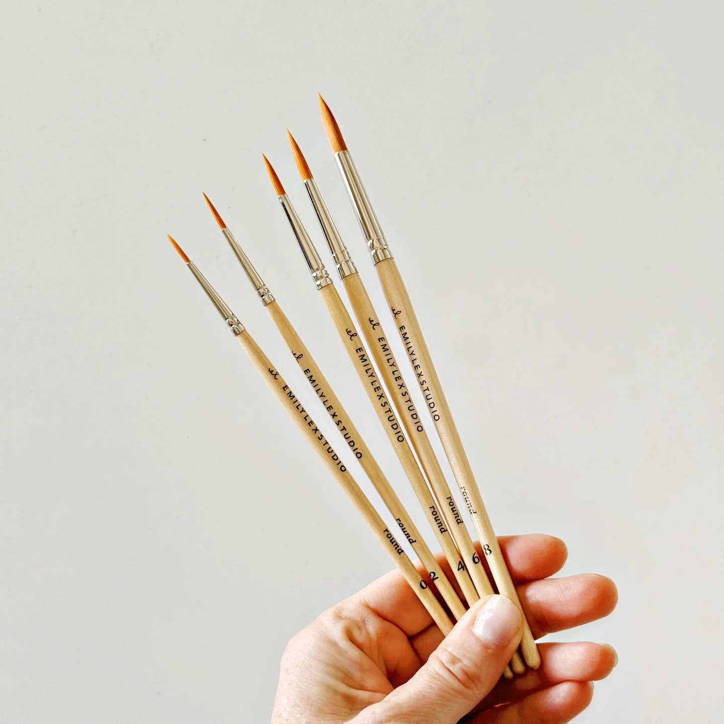 WATERCOLOUR PAINTBRUSHES S/5