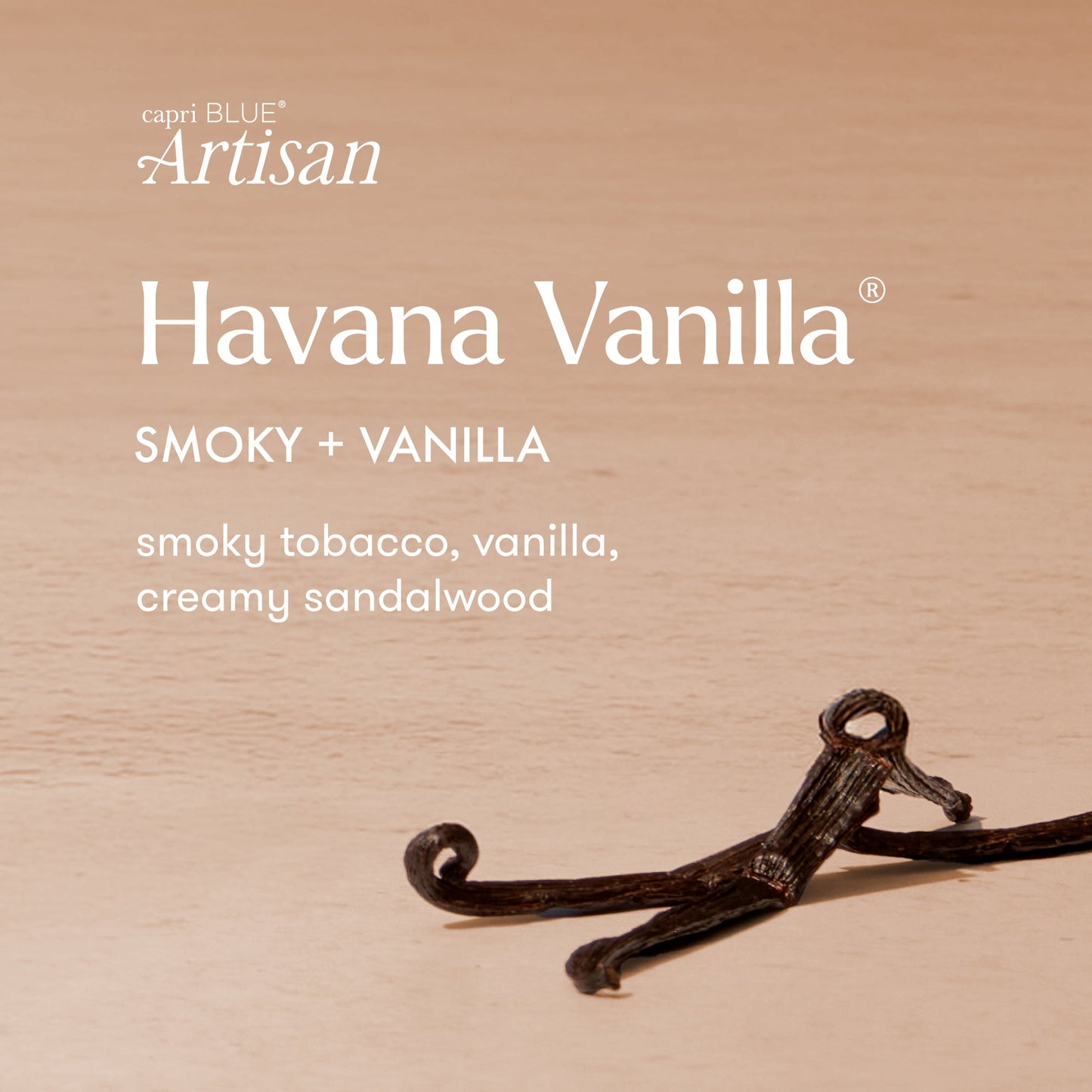 HAVANA VANILLA CAFFE CAPRI GELATO CANDLE